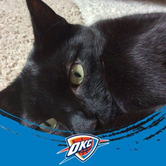 Meet your Posher, Sam - Picture 1 of 1